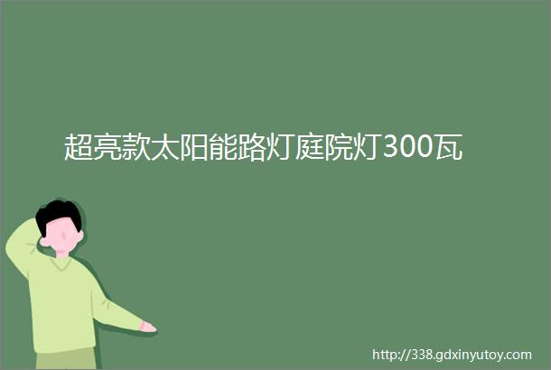 超亮款太阳能路灯庭院灯300瓦